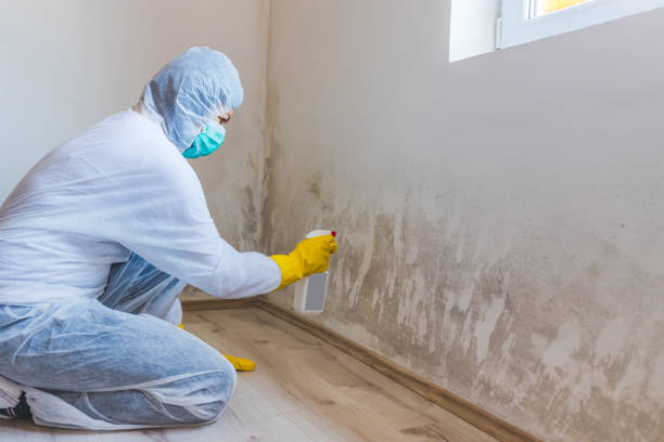 Mold inspector in Dayton performing thermal imaging